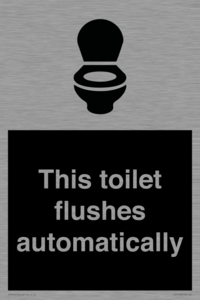 This toilet flushes automatically